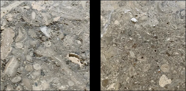 CONCRETE HYDRO, 콘크리트 표면 보호의 검토 기준