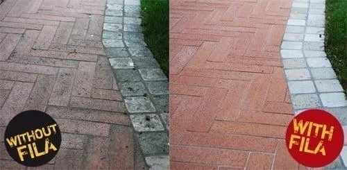 외부 타일의 검은 반점과 지의류성 오염 관리